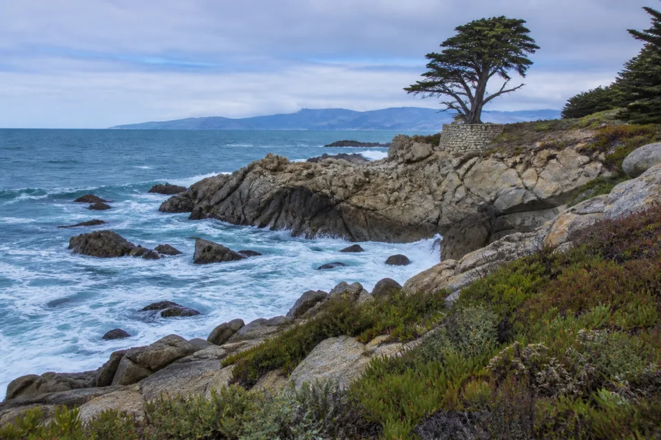 The rocky Monterey and Carmel coast
